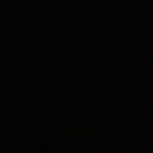 Meet your Posher, Audrey